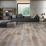 SENTINEL SERIES: AVANT XPE COLLECTION SPC